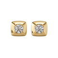 Ziva Stud Earrings